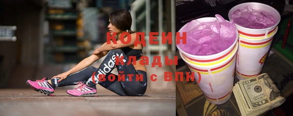 стаф Богданович