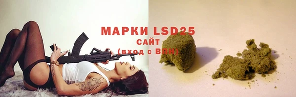 шишки Бронницы
