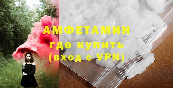 стаф Богданович