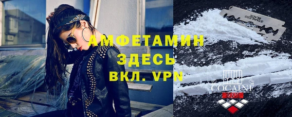 стаф Богданович