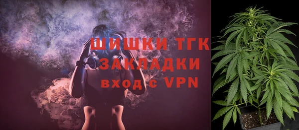 стаф Богданович