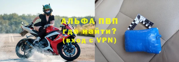 стаф Богданович