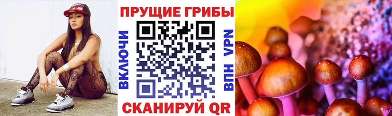 Галлюциногенные грибы Cubensis  где купить наркоту  Барыш 